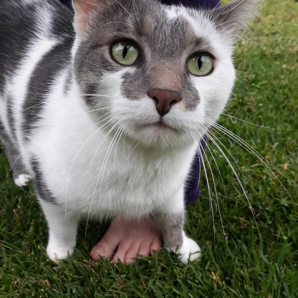 Meet your Posher, Alicia